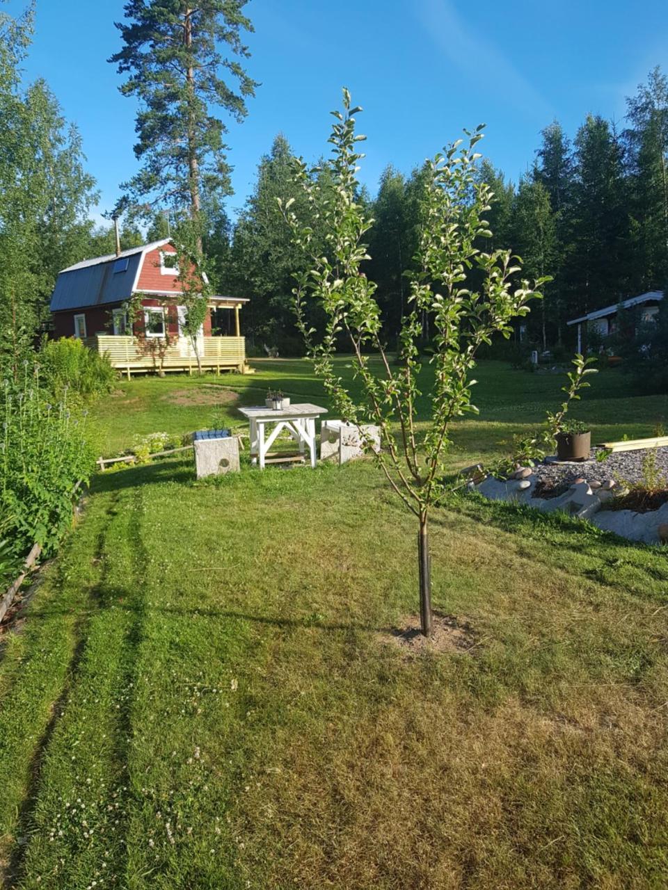 Hyttingsfabodstugor Borlänge Exterior foto